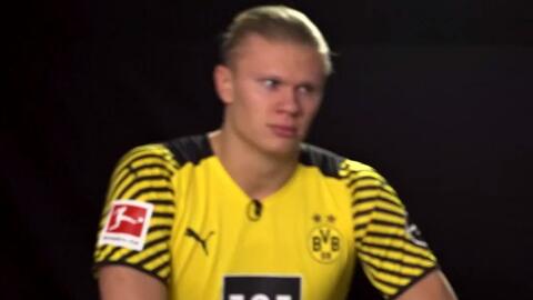 律师张冰质疑经纪人金畅无证还挣浙江上千万，后者回应：满嘴胡言