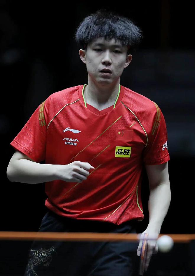 供了新的可 供了新的可